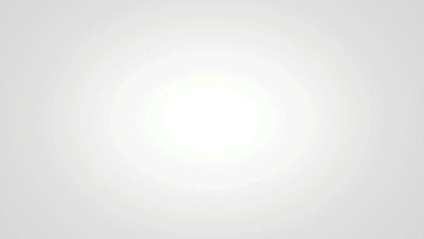 ULTIMATE PORCELAIN TILE SEALER (1 Quart Spray)